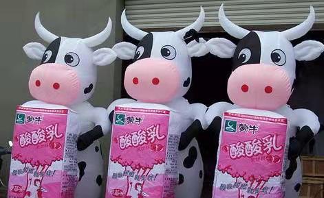 赫章牛奶厂广告气模
